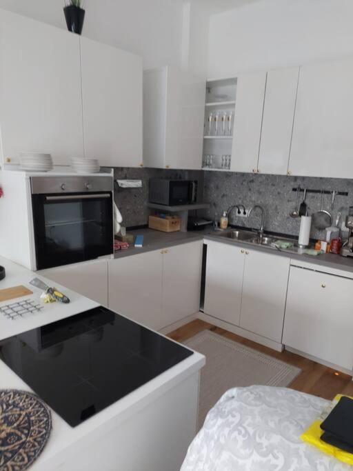 Stilvolle Wohnung Mit Terrasse/Garten Viena Exterior foto